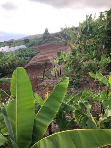 Terreno na ponta do sol (5.100m2)