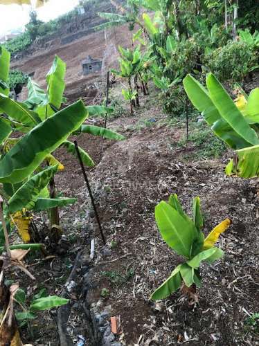 Terreno na ponta do sol (5.100m2)