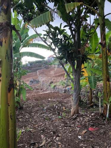 Terreno na ponta do sol (5.100m2)