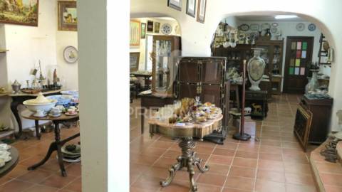 Quinta 10.080m2 com moradia bi familiar 411m2 e piscina