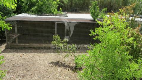 Quinta 10.080m2 com moradia bi familiar 411m2 e piscina