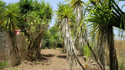 Quinta 10.080m2 com moradia bi familiar 411m2 e piscina