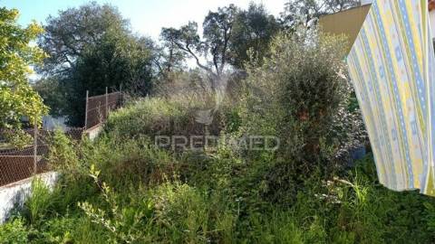 Casa típica do alentejo, aldeia velha- avis.