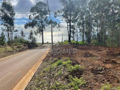 Terreno rustico localizado na quinta grande