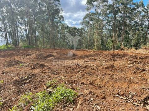 Terreno rustico localizado na quinta grande
