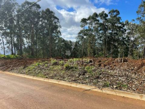 Terreno rustico localizado na quinta grande