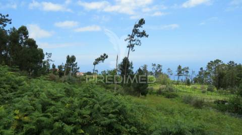 Terreno nos canhas-ponta do sol  (6.272m2)