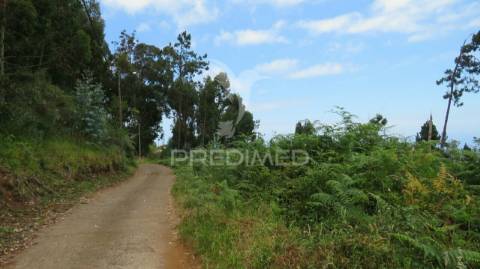 Terreno nos canhas-ponta do sol  (6.272m2)