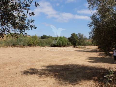 Terreno rústico com ruína de arrumos agrícolas e bom acesso a  água