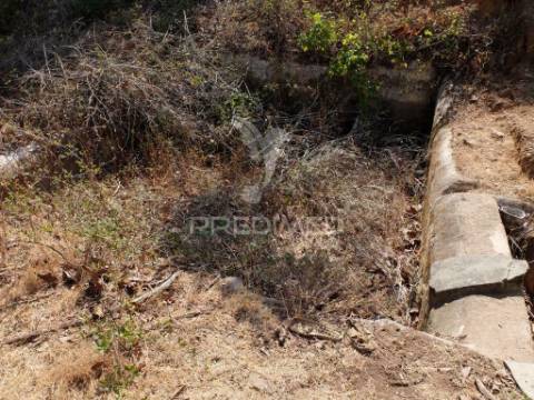 Terreno rústico com ruína de arrumos agrícolas e bom acesso a  água