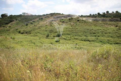 Terreno rustico  com 8.5 ha