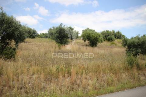 Terreno rustico  com 8.5 ha