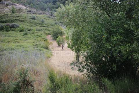 Terreno rustico  com 8.5 ha