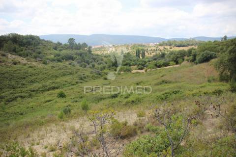 Terreno rustico  com 8.5 ha