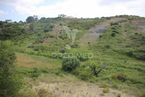 Terreno rustico  com 8.5 ha
