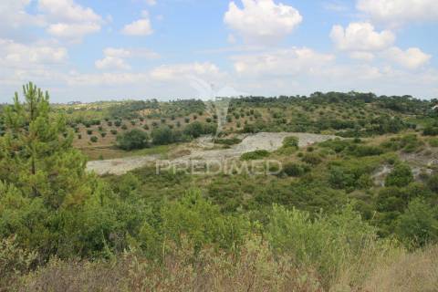 Terreno rustico  com 8.5 ha