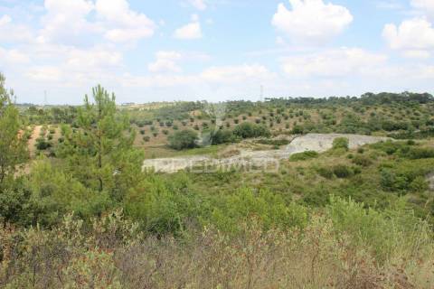 Terreno rustico  com 8.5 ha