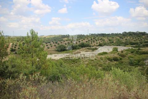 Terreno rustico  com 8.5 ha