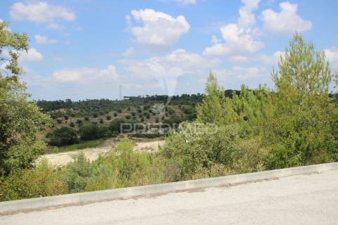 Terreno rustico  com 8.5 ha