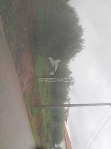 Terrno/olival com viabilidade de construção