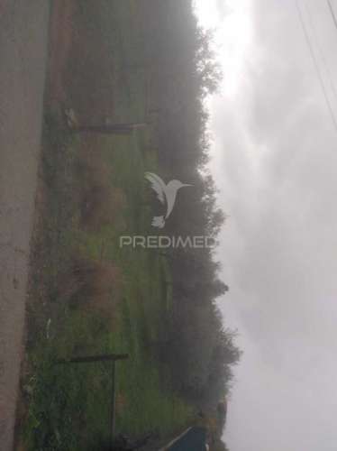 Terrno/olival com viabilidade de construção