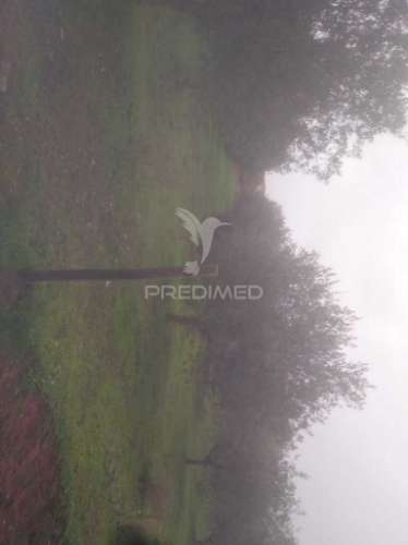 Terrno/olival com viabilidade de construção