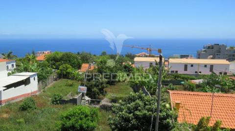 Terreno urbano santo antónio 4.400m2