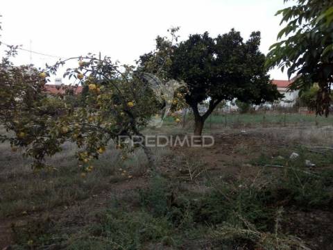 Terreno em rio de moínhos