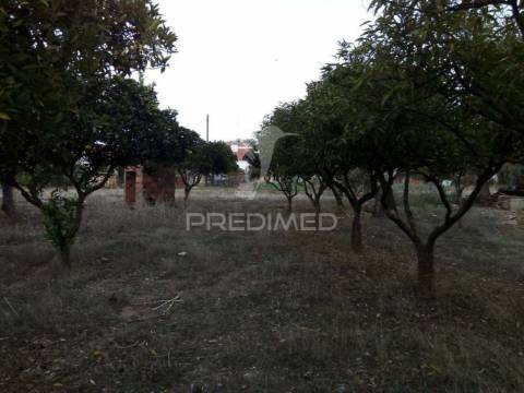 Terreno em rio de moínhos