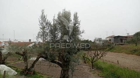 Lote de terreno em santa justa, couço