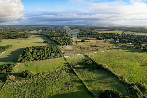 Terreno industrial de 4,2 ha em sines (zils)