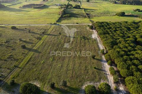 Terreno industrial de 4,2 ha em sines (zils)