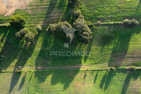 Terreno industrial de 4,2 ha em sines (zils)