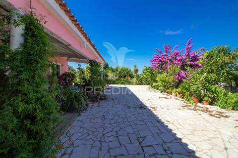 Herdade vinícola na zona do poceirão