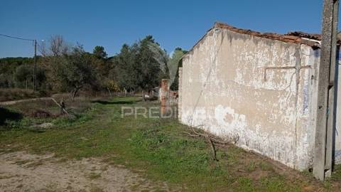 Venda conjunta de duas casas, galveias