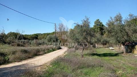 Venda conjunta de duas casas, galveias