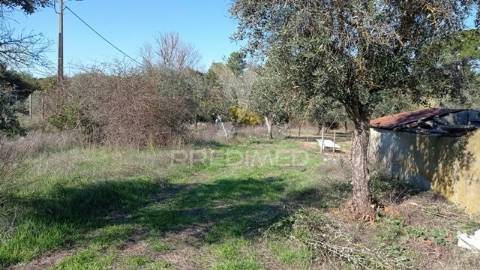 Venda conjunta de duas casas, galveias