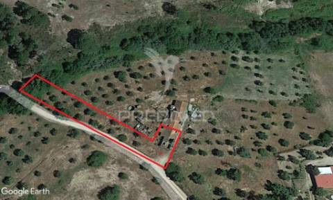 Venda conjunta de duas casas, galveias