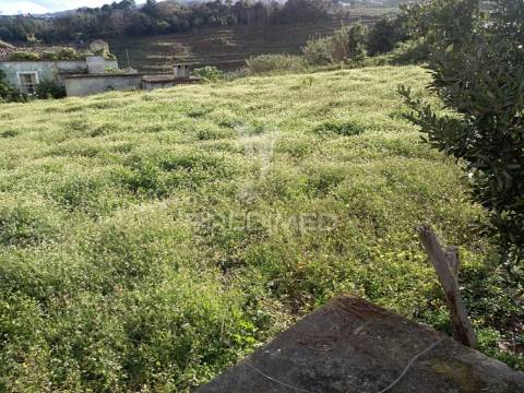 Solar  em são jorge, 2 pisos, em pedra, com 318m2.