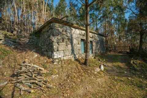 Terreno com casa rustica - valdosende, rio caldo, gerês