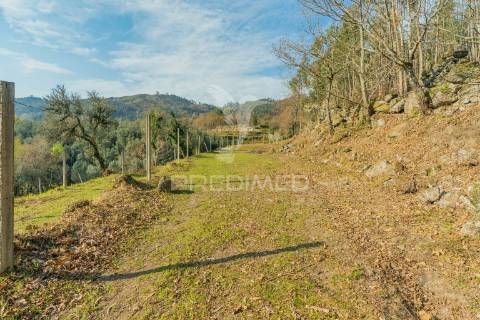 Terreno com casa rustica - valdosende, rio caldo, gerês