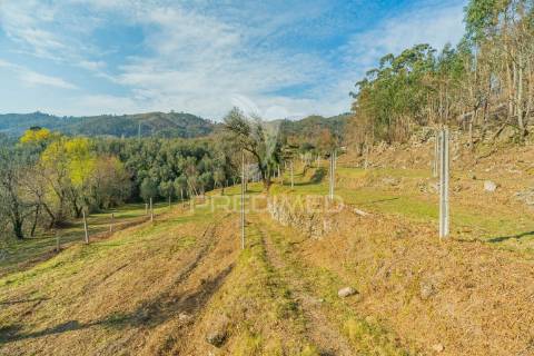 Terreno com casa rustica - valdosende, rio caldo, gerês
