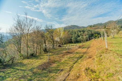 Terreno com casa rustica - valdosende, rio caldo, gerês