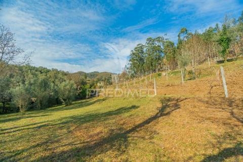 Terreno com casa rustica - valdosende, rio caldo, gerês
