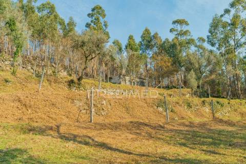 Terreno com casa rustica - valdosende, rio caldo, gerês