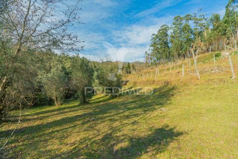 Terreno com casa rustica - valdosende, rio caldo, gerês