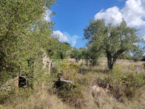 Terreno rustico com 4495 m²