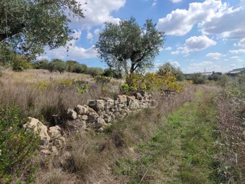 Terreno rustico com 4495 m²