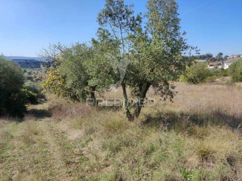 Terreno rustico com 4495 m²