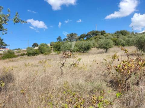 Terreno rustico com 4495 m²